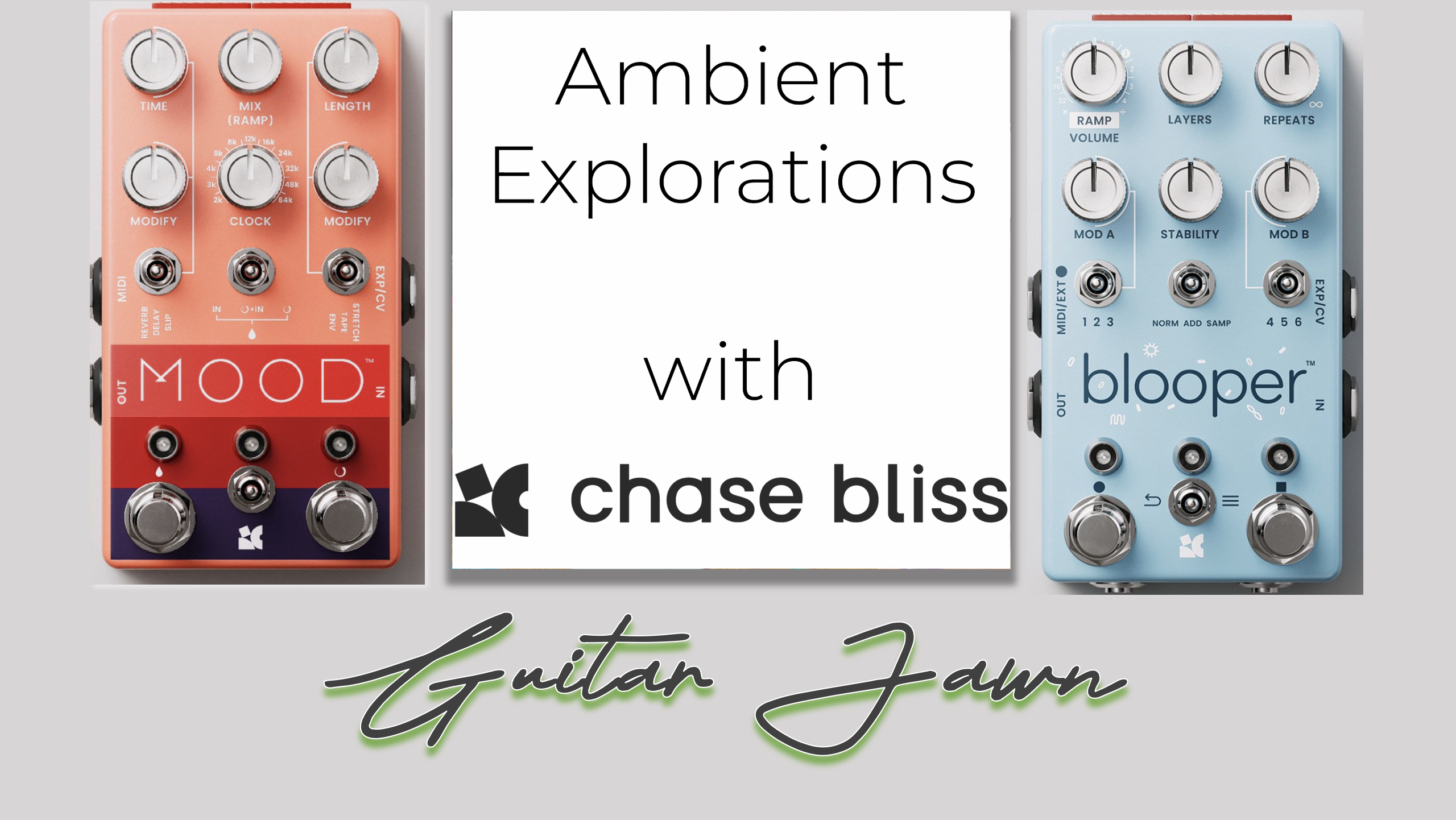 Chase Bliss Mood & blooper - guitarjawn.com